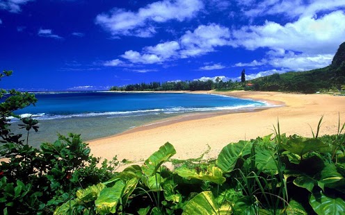 How to install 3D Hawaii 1.2 apk for android