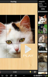 Best Cats game poster 4