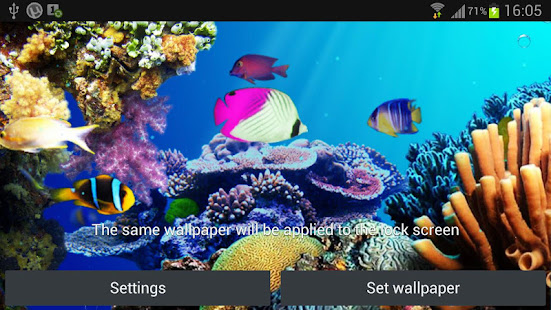 Under water live wallpaper(圖3)-速報App