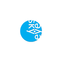 SkyEye logo