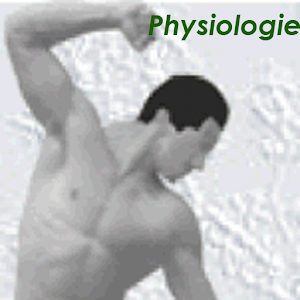 Physiokompendium Physiologie logo