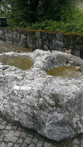 Brunnen Fischli