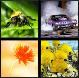 Simple Puzzle poster 4