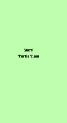 Turtle Time