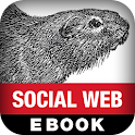Mining the Social Web logo
