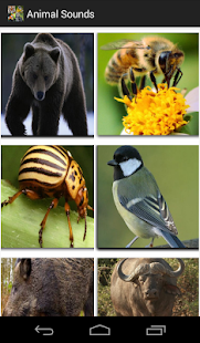 Animal Sounds for Kids(圖4)-速報App