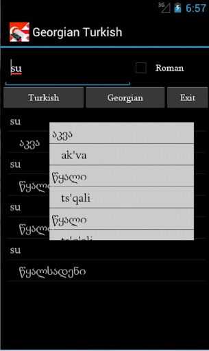 Georgian Turkish Dictionary