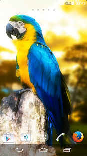 Download Macaw THEME XPERIA APK