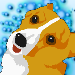 American Corgi 1.0.6