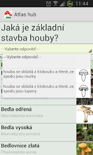 Lastest Atlas hub APK for Android