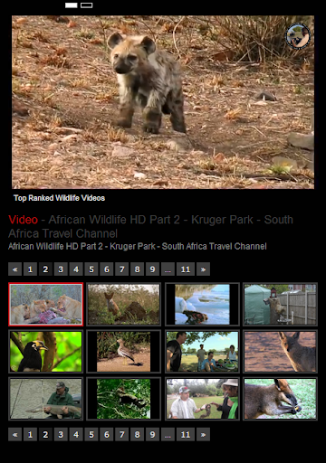 Top Ranked Wildlife Videos