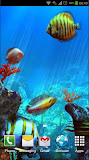 Tropical Ocean 3D LWP