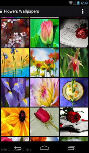 免費下載個人化APP|Flowers HD Wallpaper app開箱文|APP開箱王