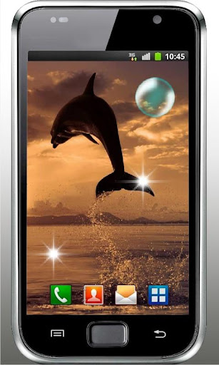 【免費個人化App】Dolphines Top Photo HD LWP-APP點子