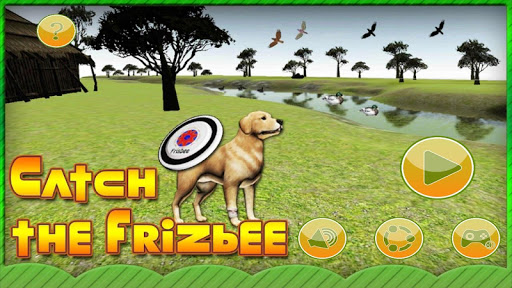 Catch The Frizbee