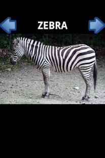 Free Download Animals ABC APK for Android