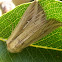 L-album Wainscot