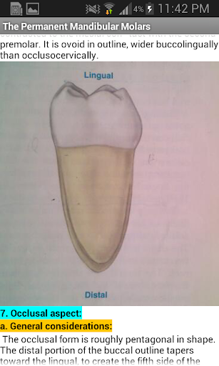 【免費醫療App】Tooth Morphology-APP點子