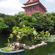 劍潭青年活動中心