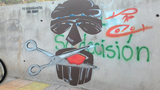 Graffiti No A La Ignorancia