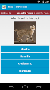 Cat Sounds and Breeds List(圖5)-速報App