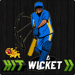 Hit Wicket Cricket - India Apk