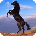 Horse – PuzzleBox logo