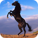 Horse - PuzzleBox