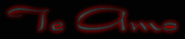 dns51.png