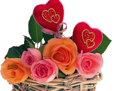 COMPTE_BLOGOF malurilati : Só o Amor é capaz de Salvar a Humanidade, Rosas