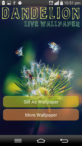 Dandelion Live Wallpaper