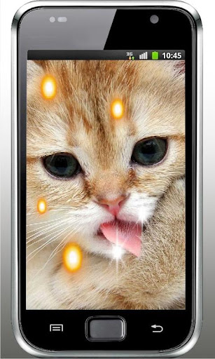 Pet Kitty HD Live Wallpaper