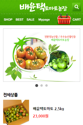 배윤택 토마토 농장 대저 친환경 무농약 우수농산물