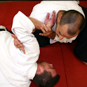 A step to Aikido 1 move DEMO logo