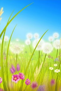 Free Download Blowball Pro - Live Wallpaper APK