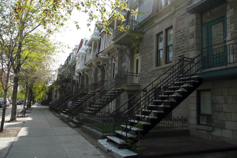 [P1030477[2].jpg]
