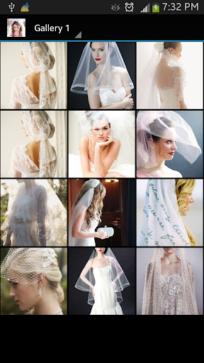 Wedding Veils