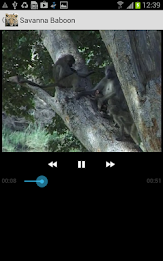 Mammals of SA Lite poster 7