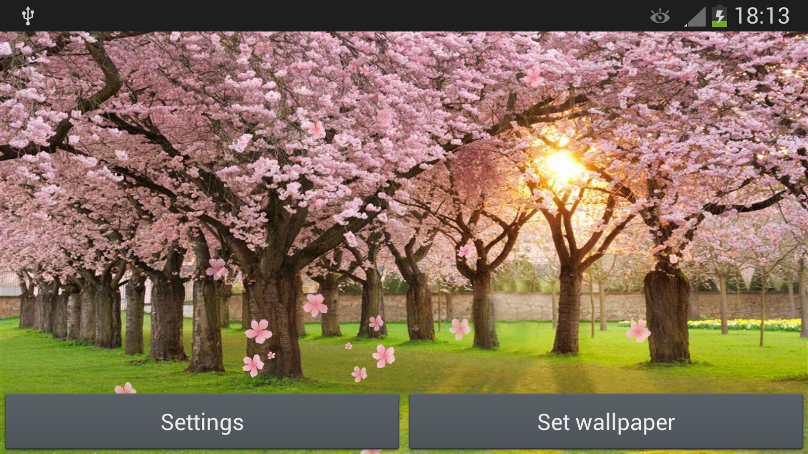 Sakura Live Wallpaper Android Apps On Google Play