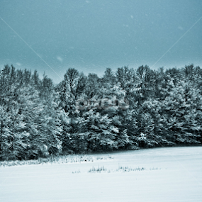 winter wonderland by Terenti Bittner - Landscapes Weather