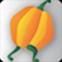 On the Go icon
