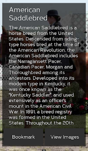 Horse Breeds: Types of Horse Screenshots 1