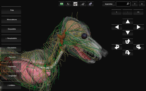 3d Canine Anatomy Software 11 Free Download