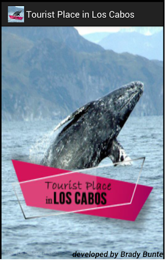 Cabo Tourist App Brady Bunte