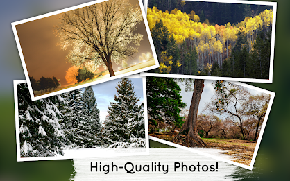 Venn Trees: Circle Jigsaw poster 14