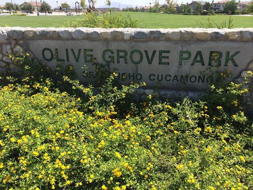 Olive Grove Park