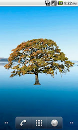 Oak Tree Fall Sticker poster 3