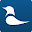 Bird Profile Download on Windows