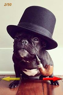 Free Download Most Funny Pictures APK for Android