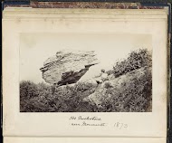 Buckstone bij Monmouth met op de voorgrond een liggende man